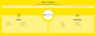 Temperatur 12 - 15 Grad Celsius