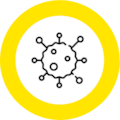Allergene