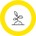 Selber anbauen